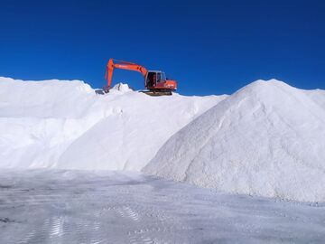 SALT GLOBAL SRL